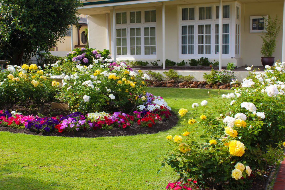Preparing Flower Beds for Spring with Organic Compost