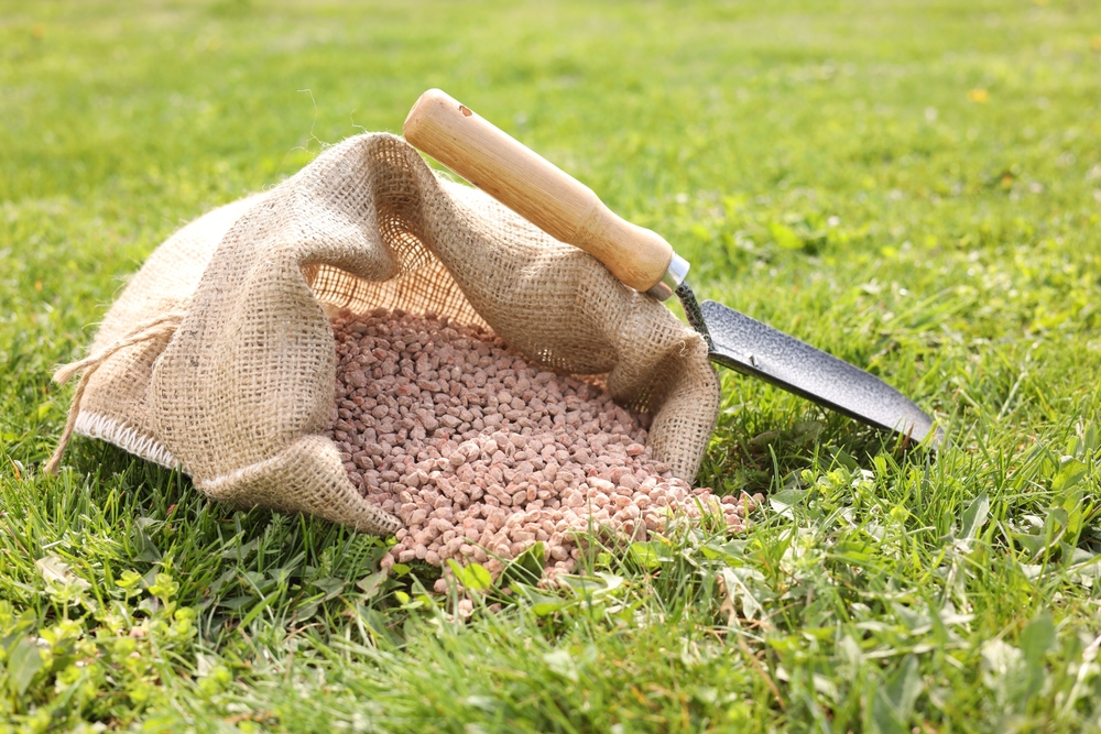 summer lawn fertilizer